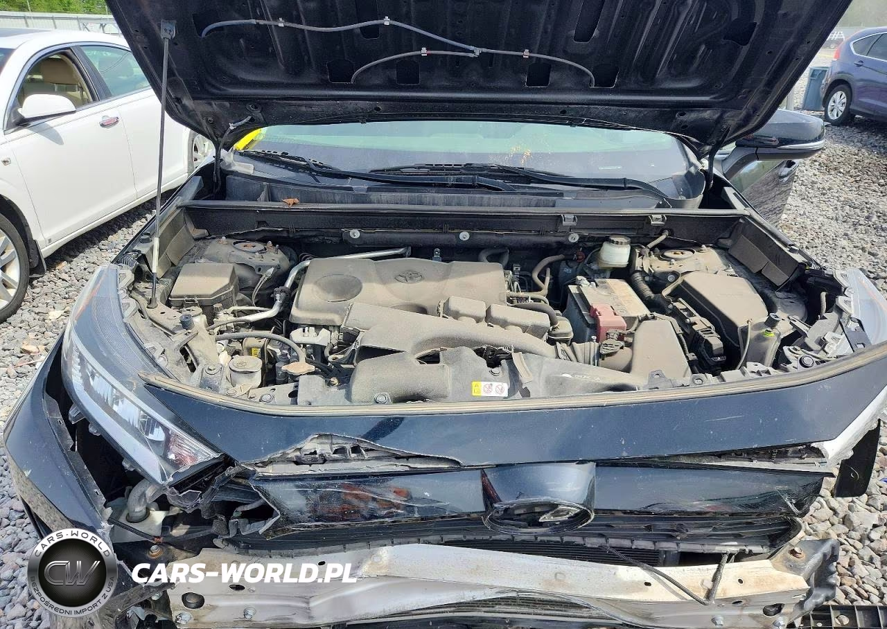 2019 Toyota Rav4 Xle VIN:JTMP1RFV2KD017333 - 11