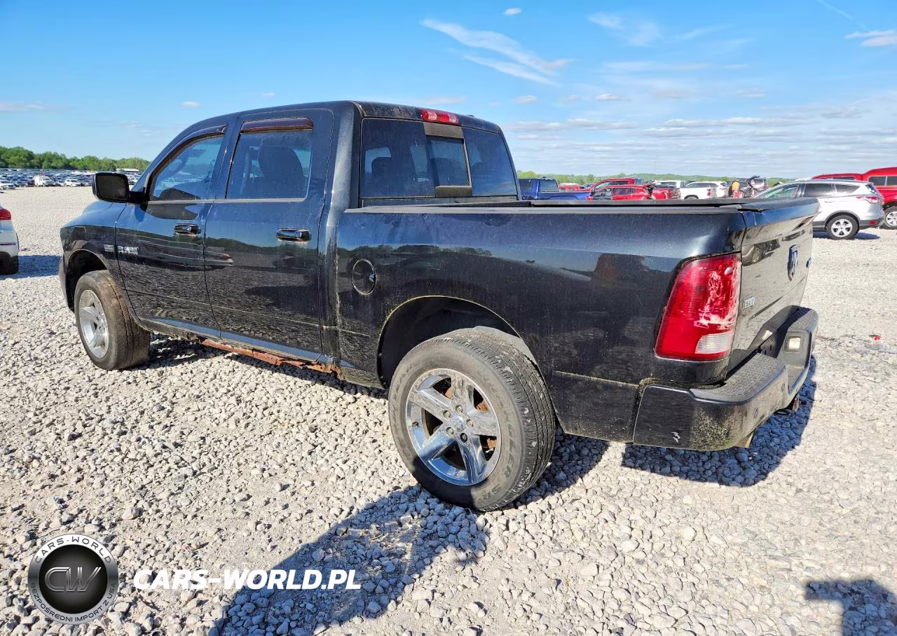 2010 Dodge Ram 1500 VIN:1D7RV1CT0AS236194 - 2