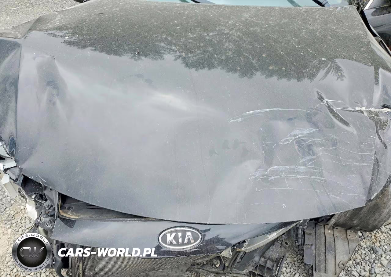 2011 Kia Optima Ex VIN:KNAGN4A79B5173876 - 11