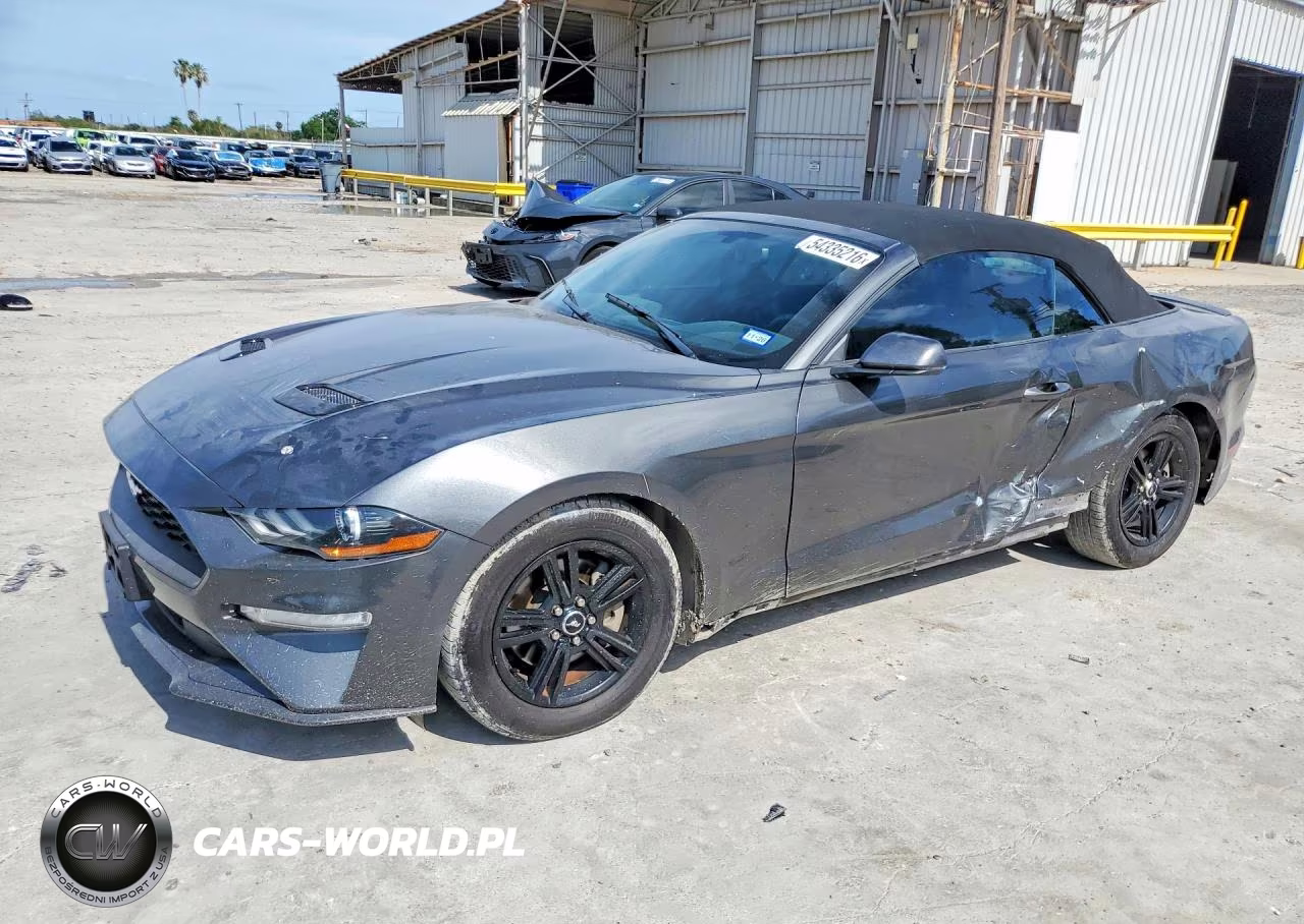 2019 Ford Mustang