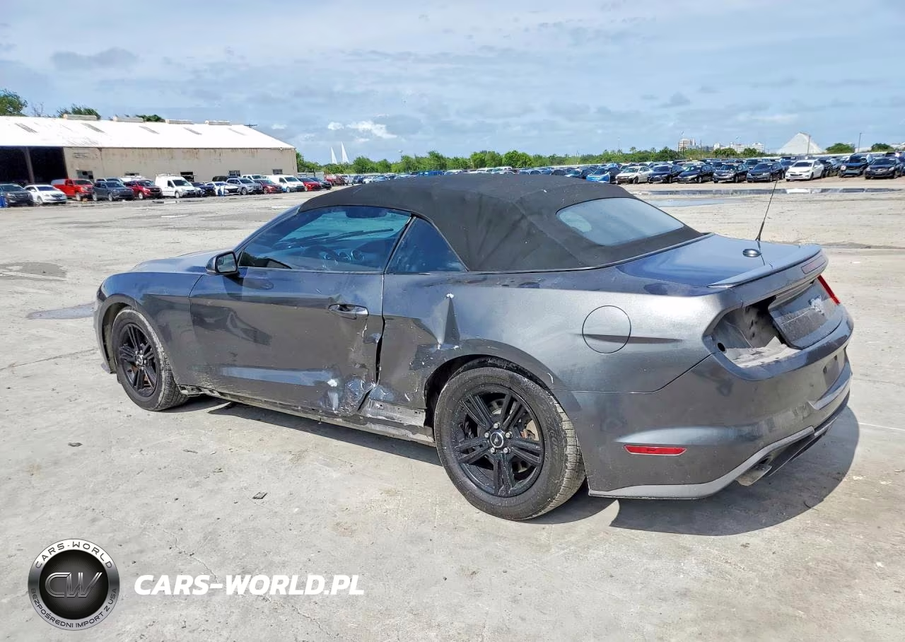 2019 Ford Mustang VIN:1FATP8UHXK5170059 - 2