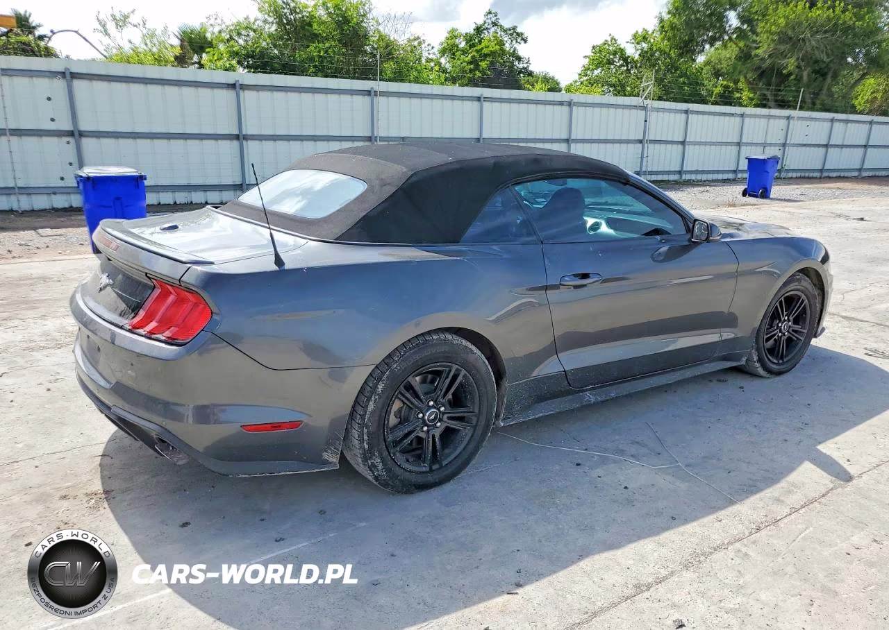 2019 Ford Mustang VIN:1FATP8UHXK5170059 - 3