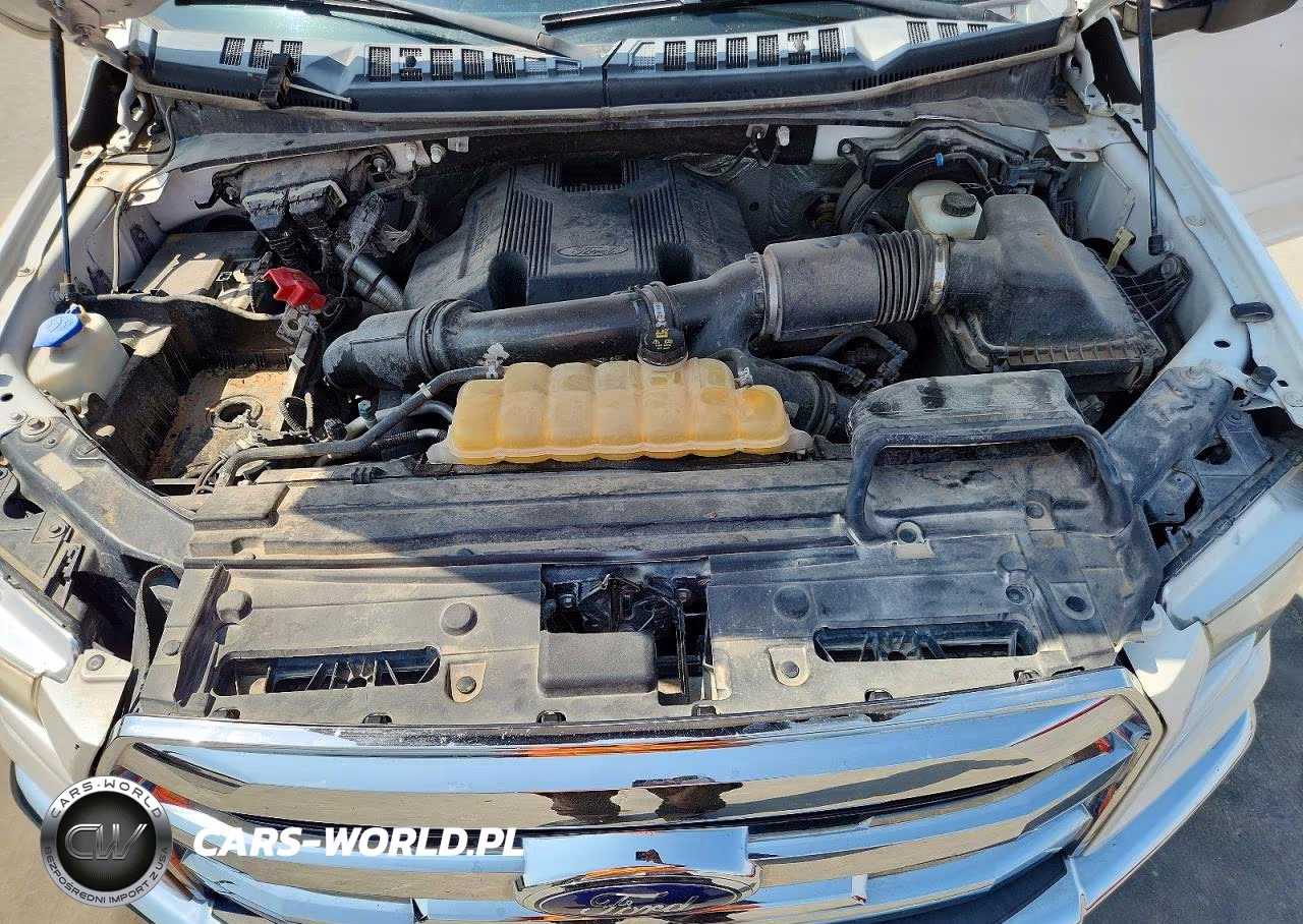 2017 Ford F150 Supercrew VIN:1FTEW1EG5HFB09918 - 11