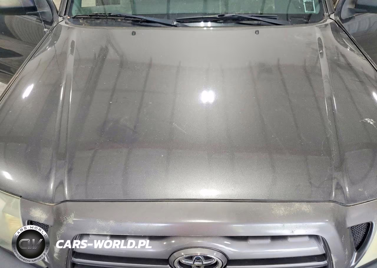 2009 Toyota Tacoma Double Cab VIN:3TMLU42N29M033481 - 11