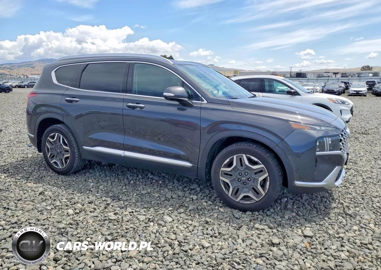 2021 Hyundai Santa Fe Limited VIN:5NMS44ALXMH364946 - 4