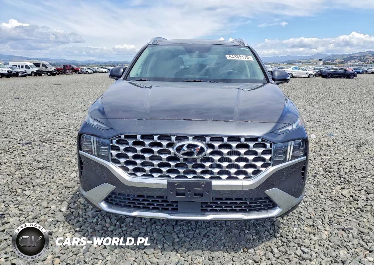 2021 Hyundai Santa Fe Limited VIN:5NMS44ALXMH364946 - 5