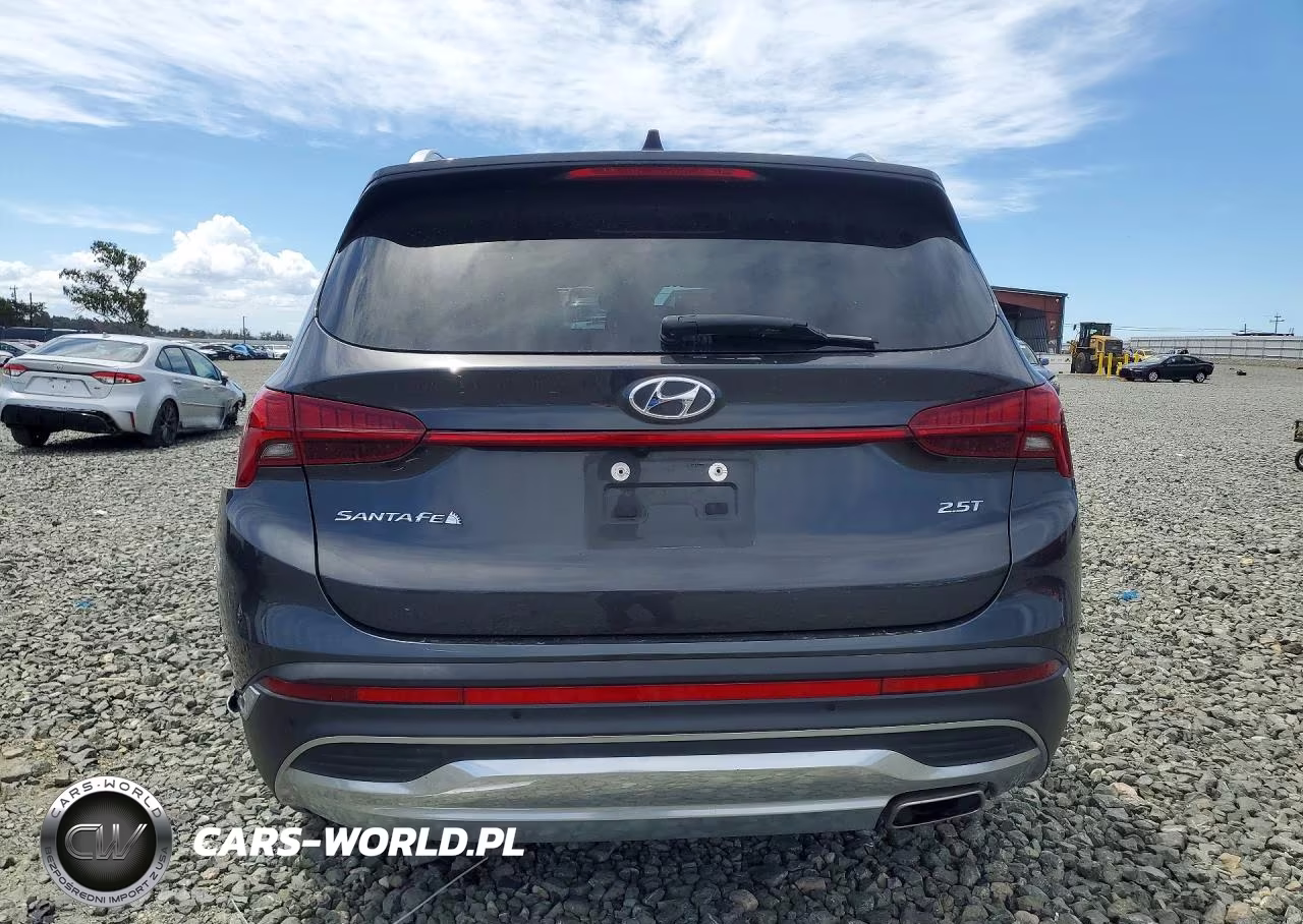 2021 Hyundai Santa Fe Limited VIN:5NMS44ALXMH364946 - 6
