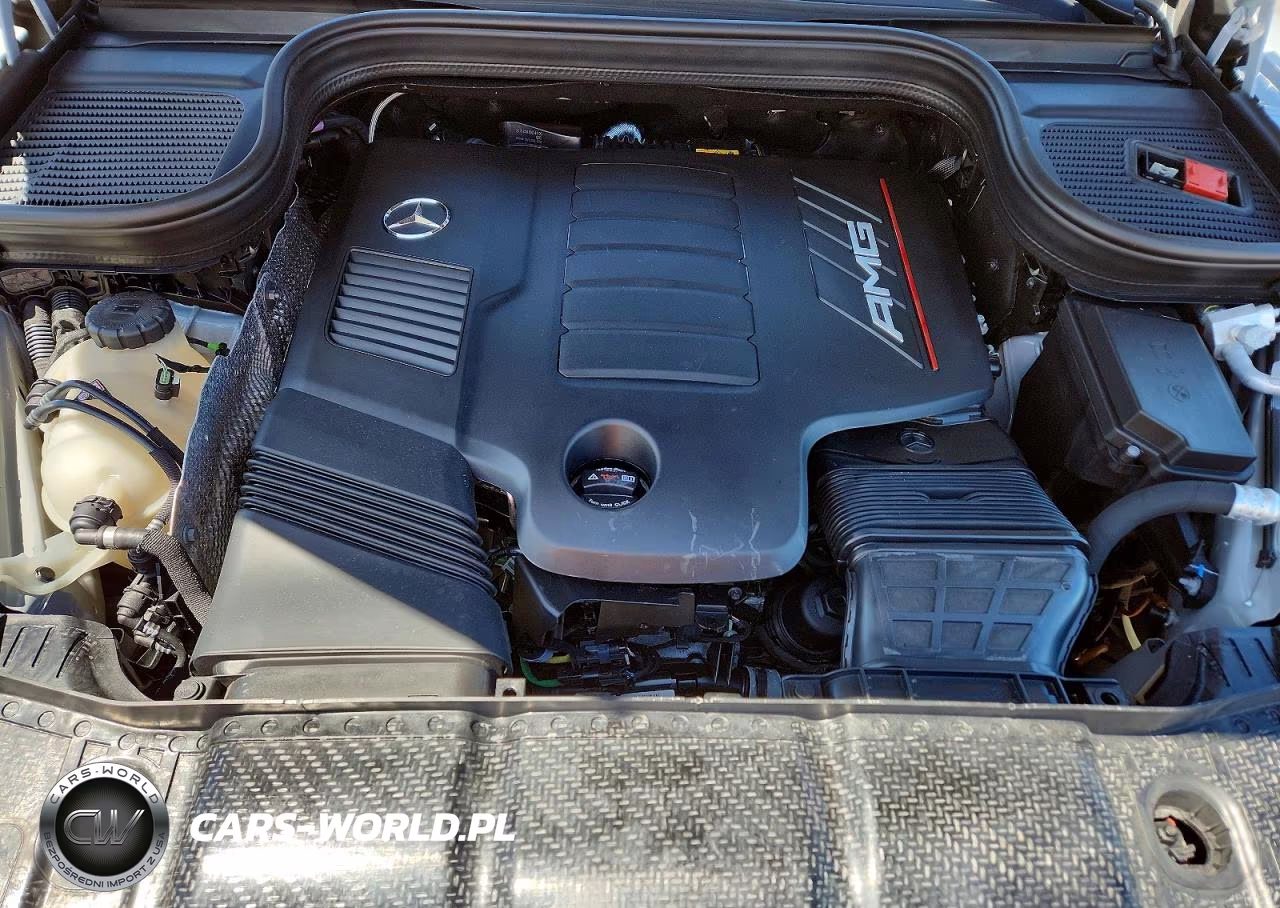 2025 Mercedes-Benz Gle Coupe Amg 53 4Matic VIN:4JGFD6BB1SB391162 - 12