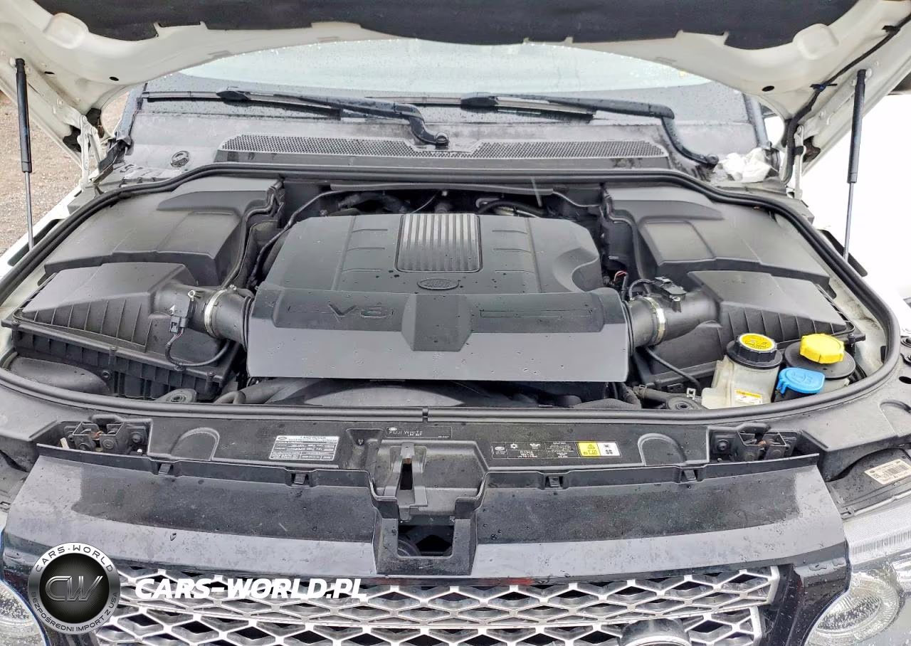 2013 Land Rover Range Rover Sport Hse Luxury VIN:SALSK2D49DA782657 - 12