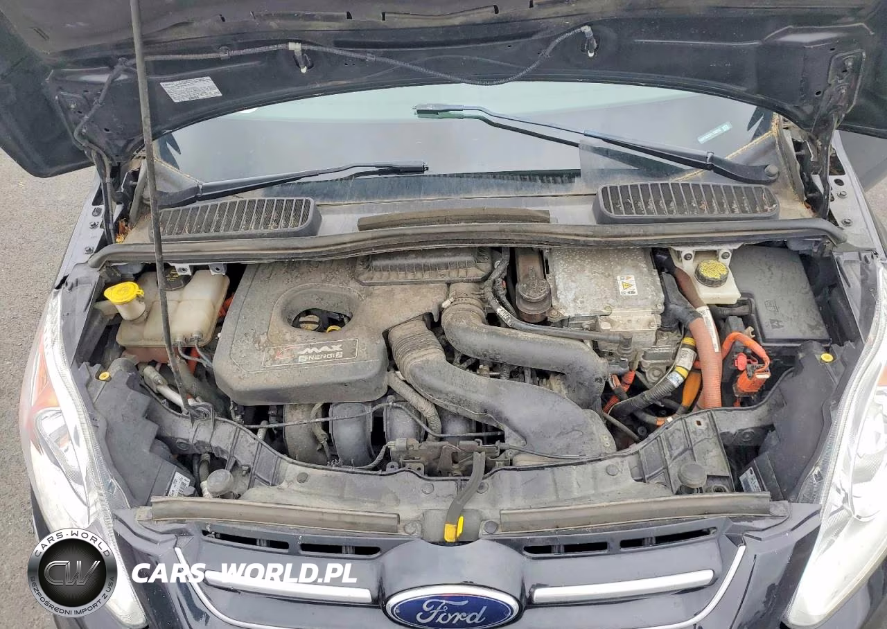 2015 Ford C-Max Premium Sel VIN:1FADP5CU2FL100252 - 11
