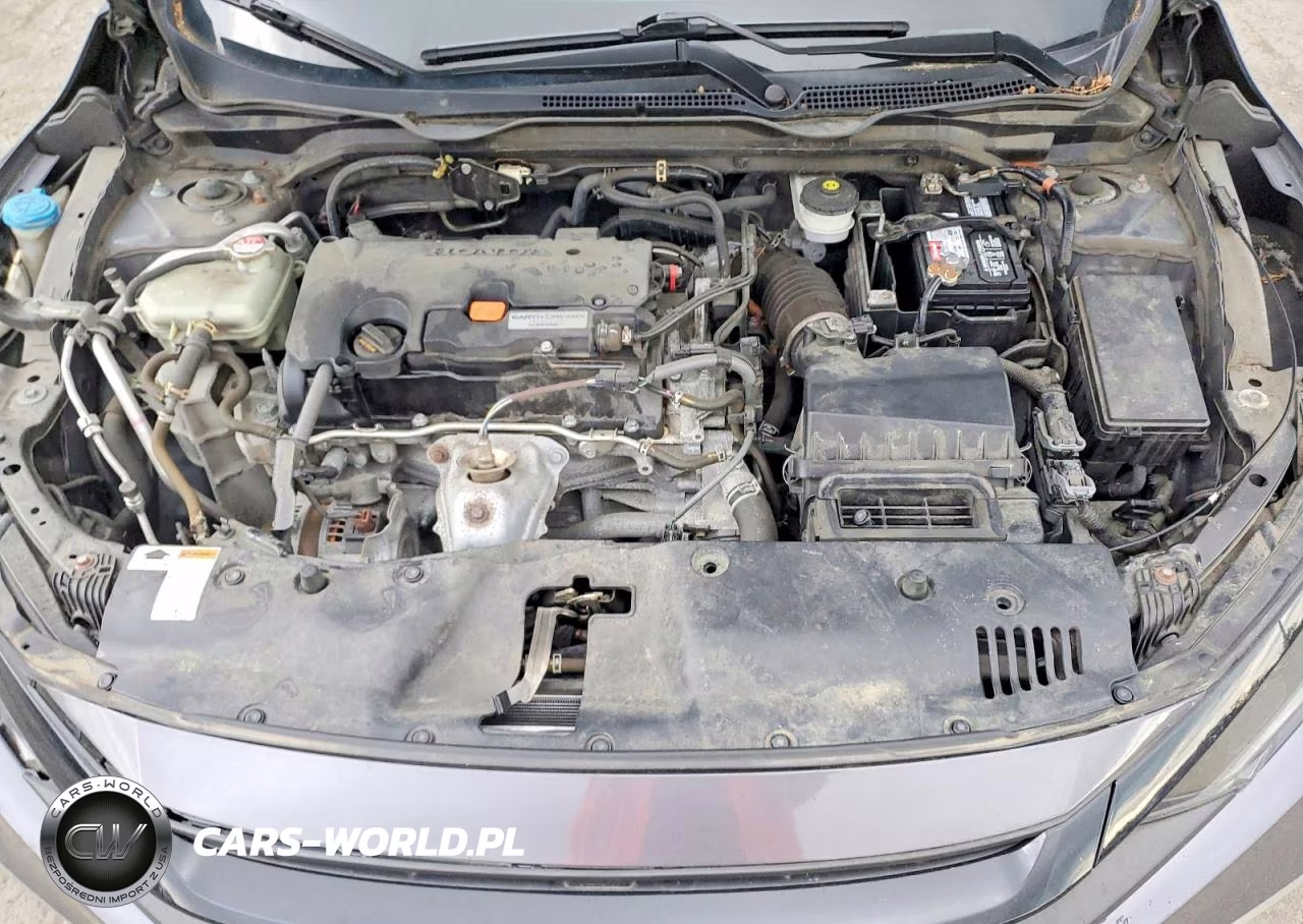 2019 Honda Civic Lx VIN:2HGFC2F60KH502516 - 11