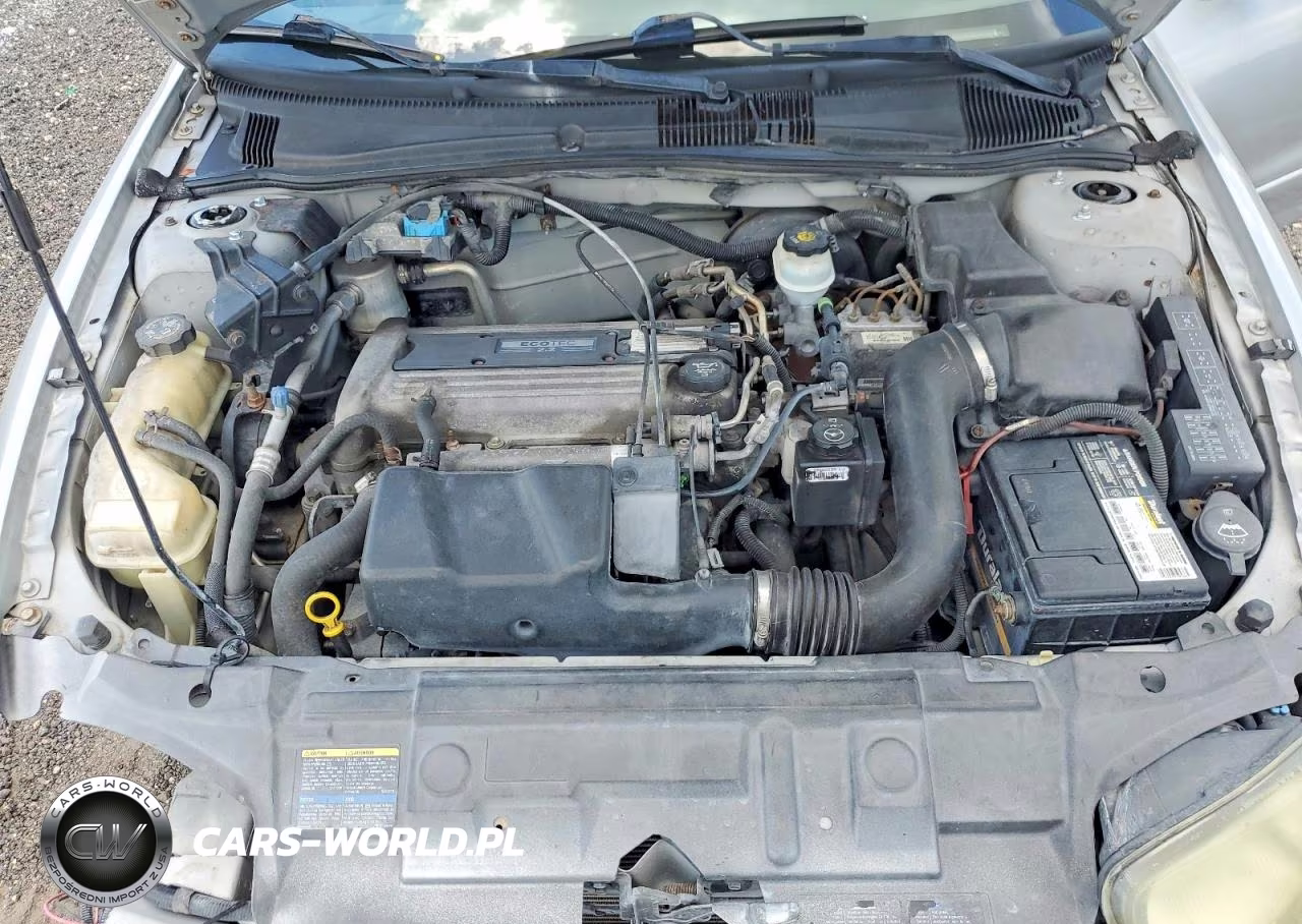 2004 Chevrolet Cavalier Ls VIN:1G1JF52F147323528 - 11