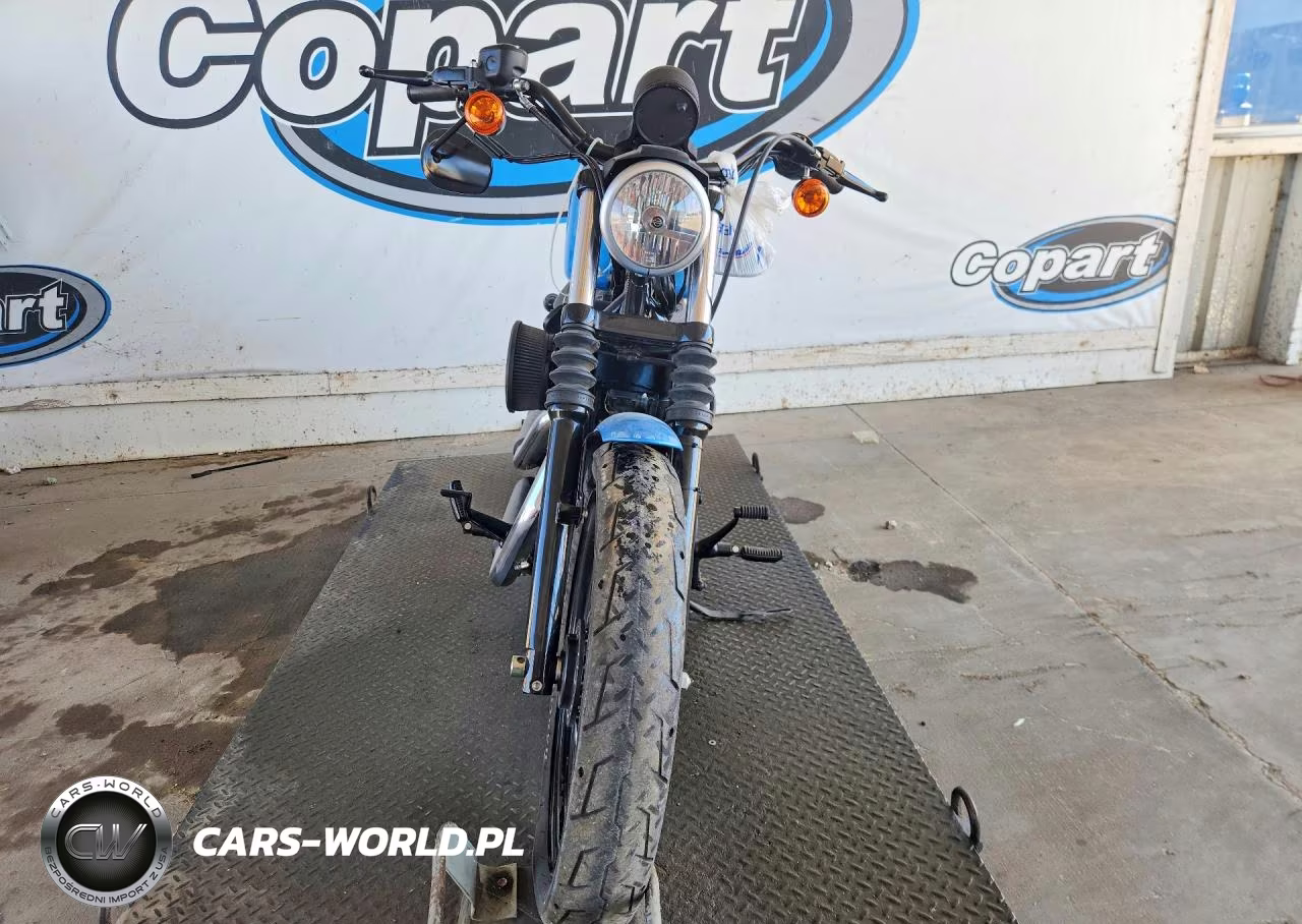 2011 Harley Davidson Xl1200 N VIN:1HD1CZ318BC435742 - 2