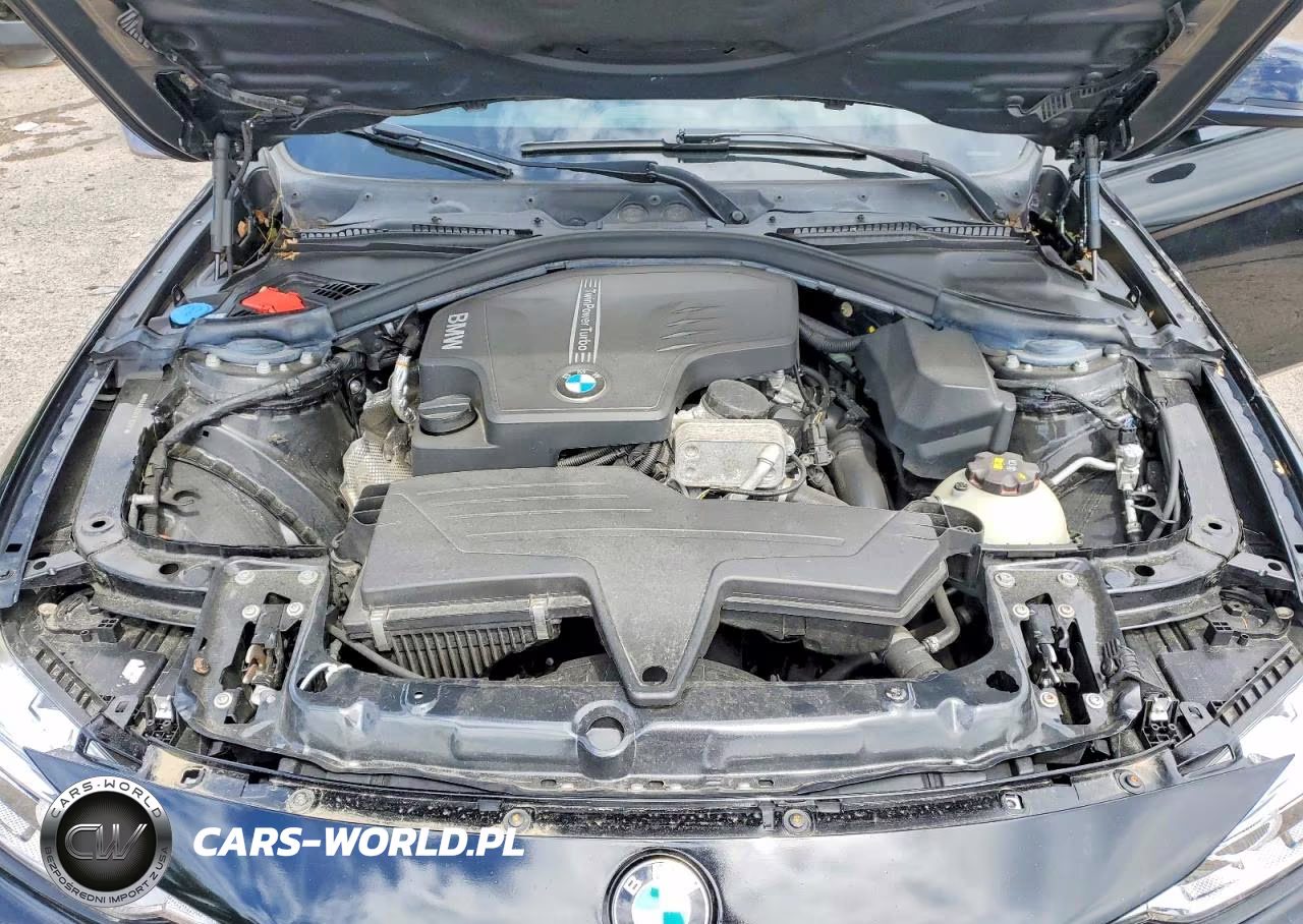 BMW 320I VIN:WBA8A3C54JK763747 - 11