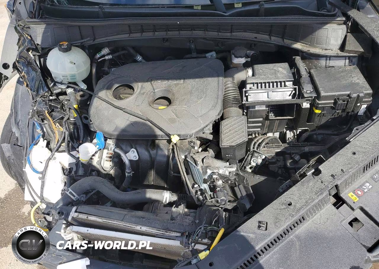 2020 Hyundai Tucson Value VIN:KM8J33A46LU101504 - 12