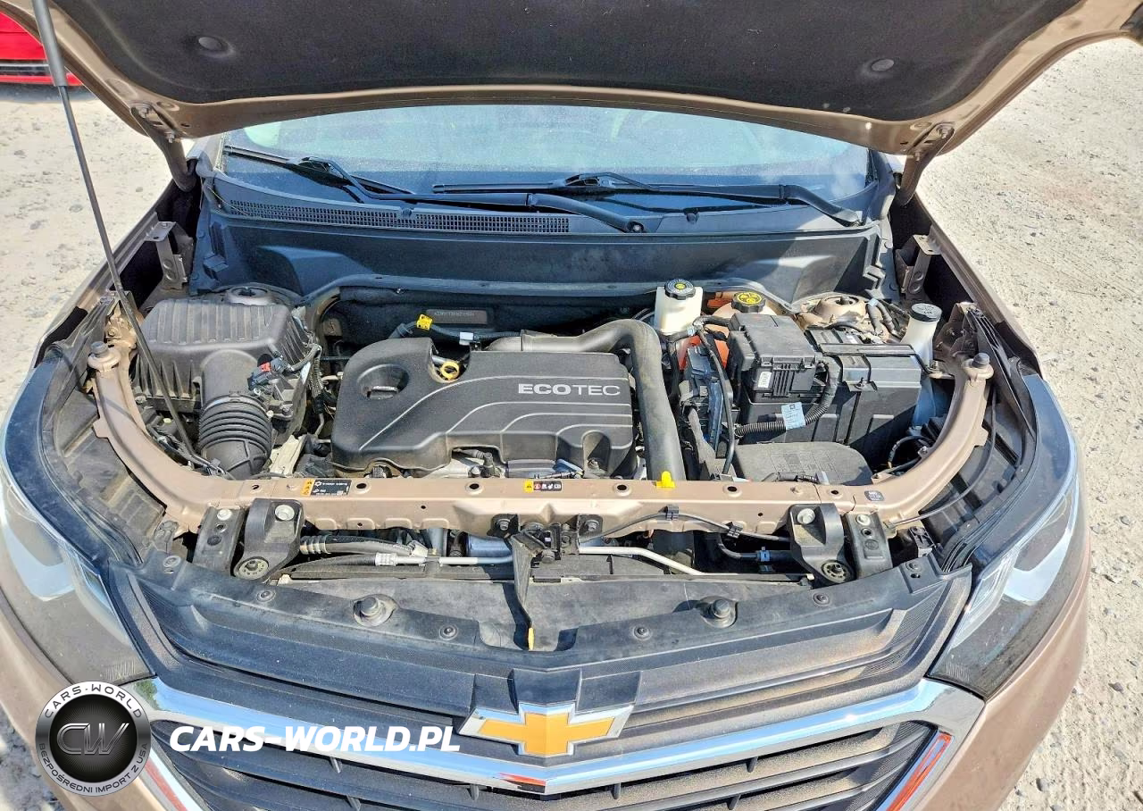 2019 Chevrolet Equinox Lt VIN:2GNAXTEV6K6216507 - 12