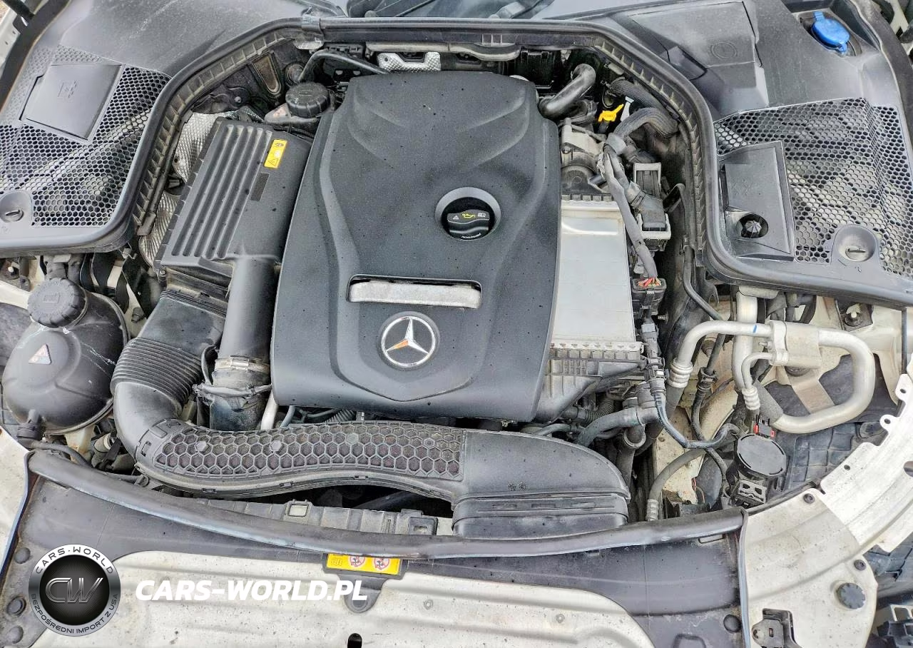 2017 Mercedes-Benz C 300 4Matic VIN:55SWF4KB0HU181675 - 11