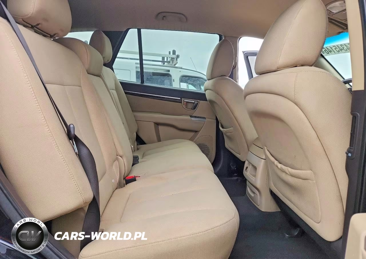 2010 Hyundai Santa Fe Gls VIN:5NMSG3AB7AH369316 - 11