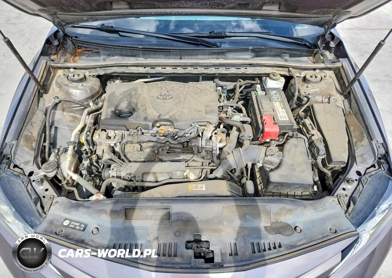 2019 Toyota Camry Le VIN:4T1B11HK8KU747385 - 11