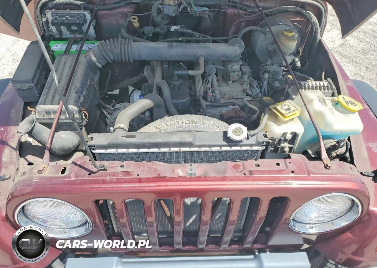 2003 Jeep Wrangler - Tj Rubicon VIN:1J4FA69S53P333668 - 11