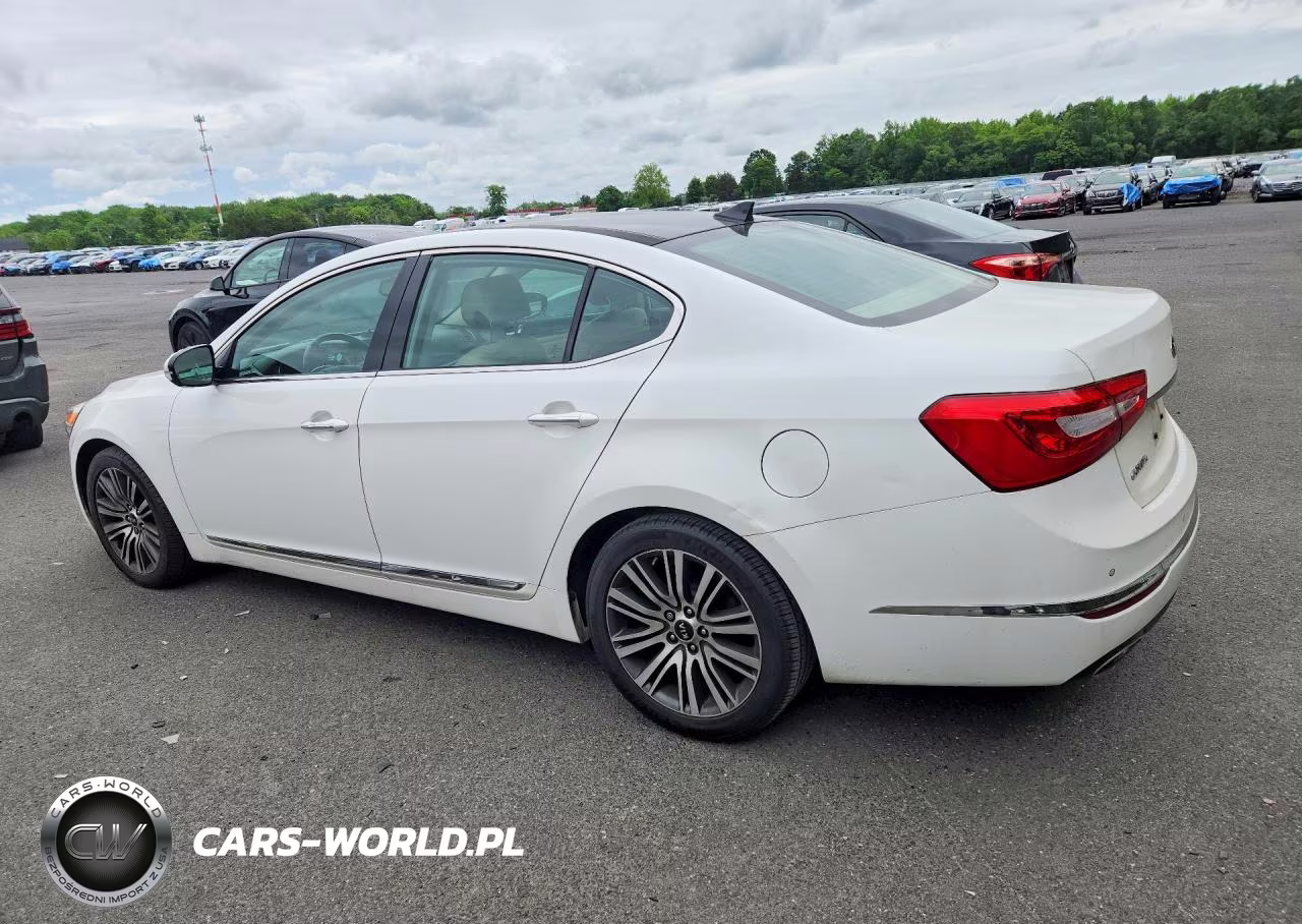 2016 Kia Cadenza VIN:KNALN4D79G5206229 - 2