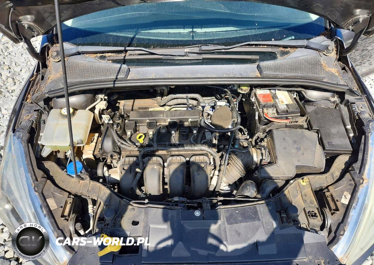 2015 Ford Focus Titanium VIN:1FADP3J23FL277706 - 11