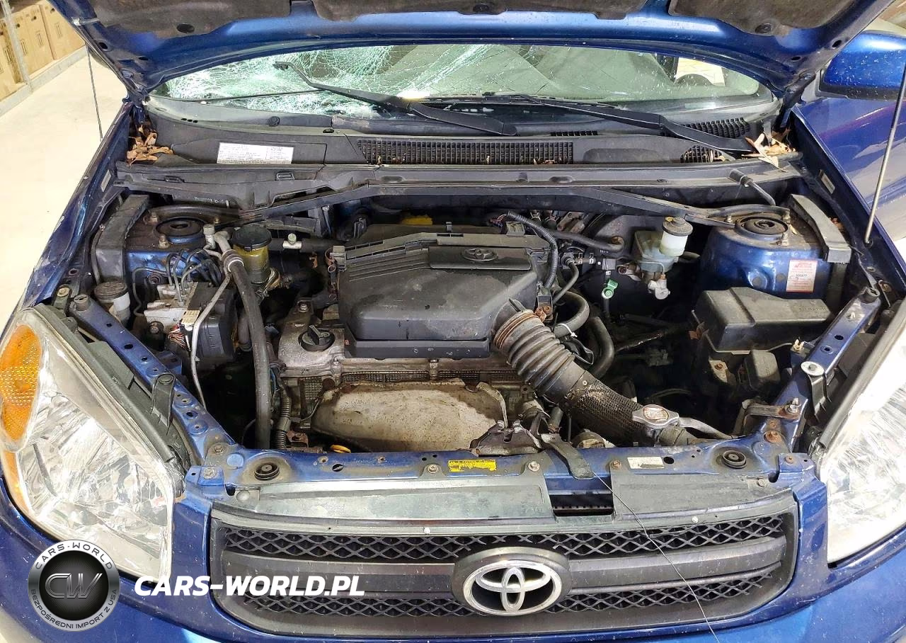2004 Toyota Rav4 Base VIN:JTEHD20V546015557 - 12