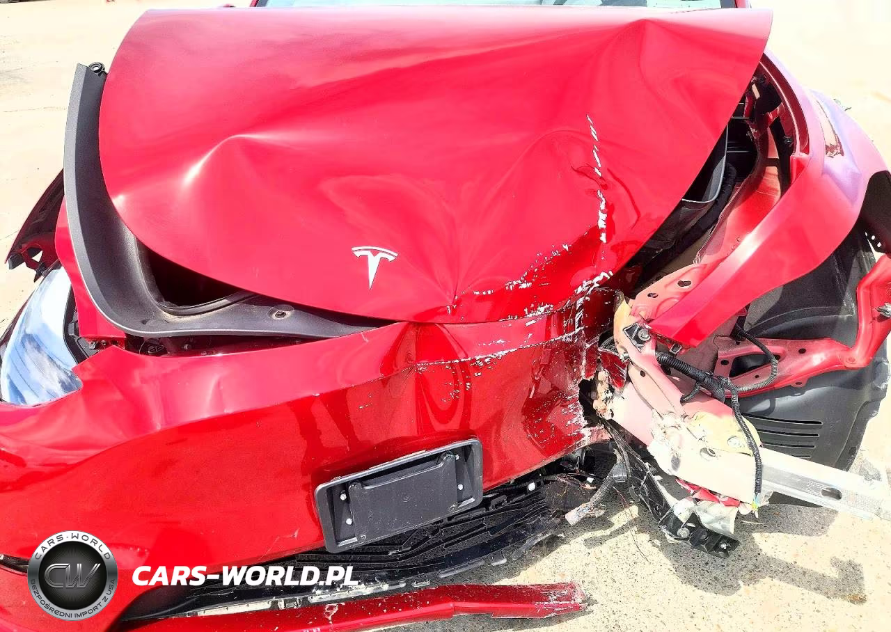 2024 Tesla Model Y VIN:7SAYGDEE6RF150805 - 11