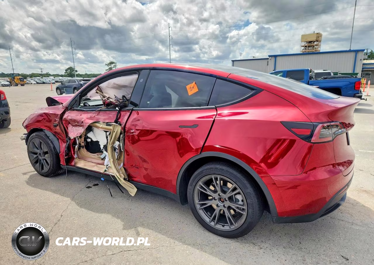 2024 Tesla Model Y VIN:7SAYGDEE6RF150805 - 2