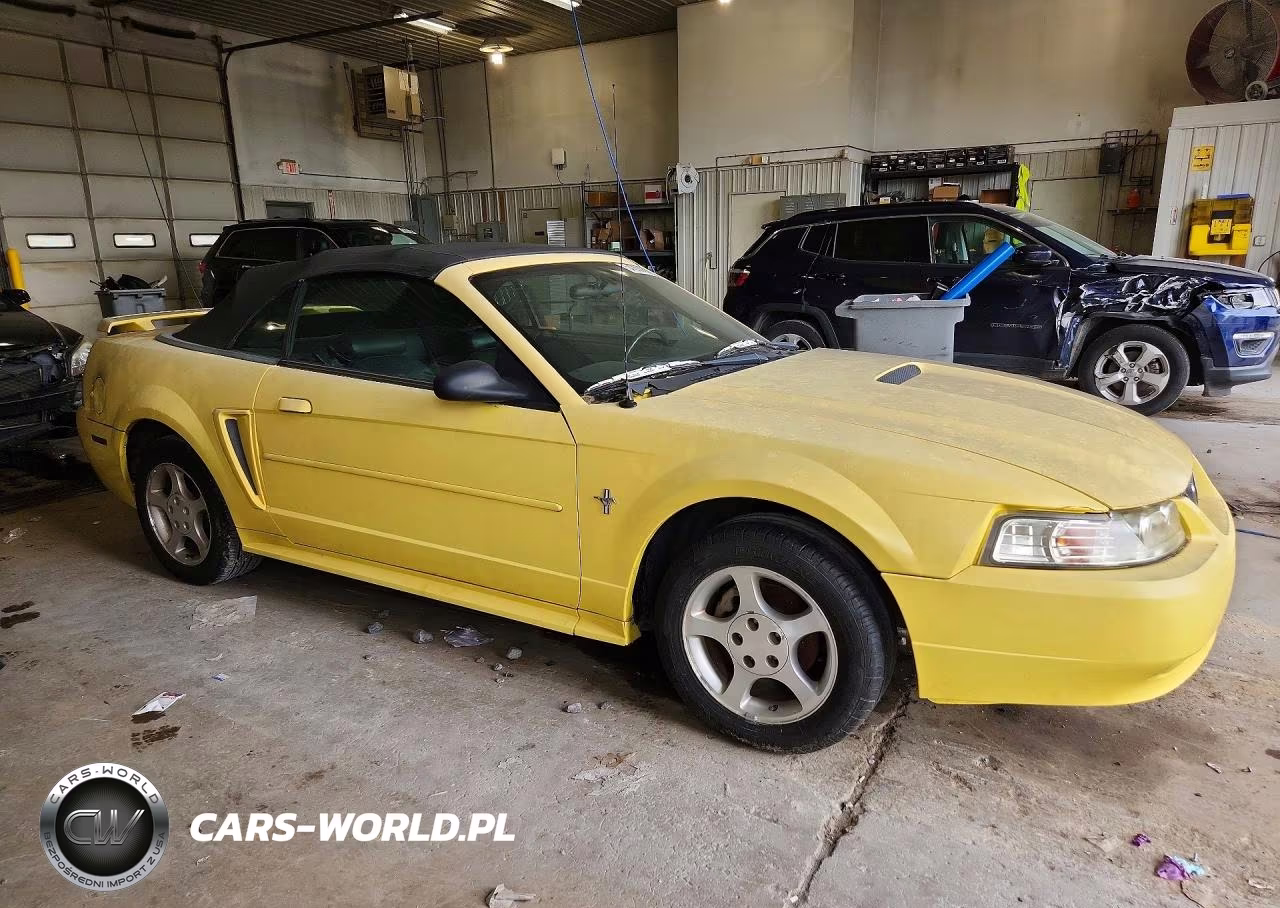 2001 Ford Mustang VIN:1FAFP44431F142020 - 4