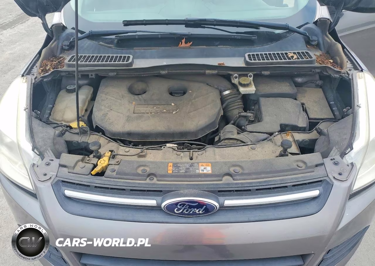 2013 Ford Escape Se VIN:1FMCU0G91DUD39737 - 12