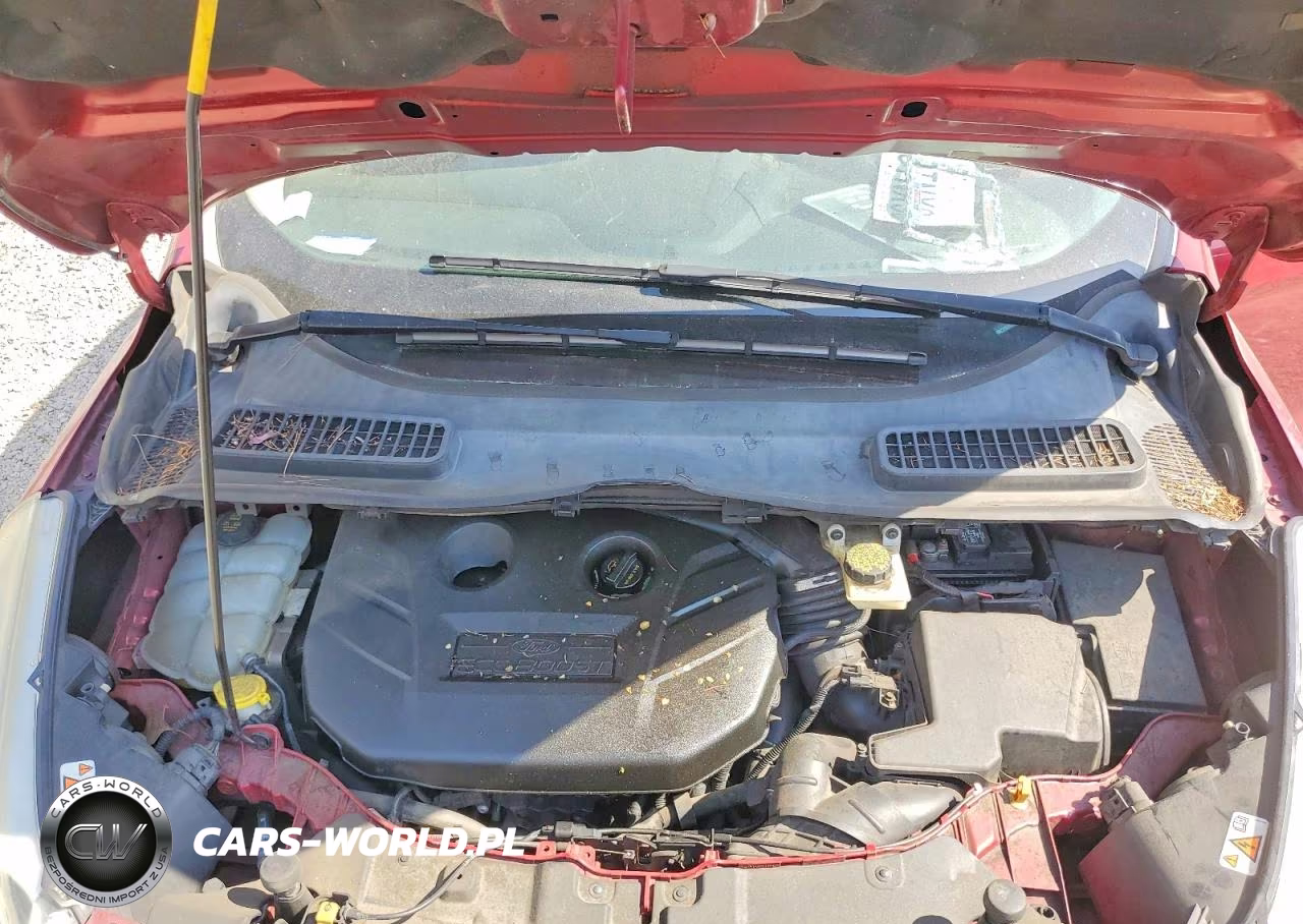 2013 Ford Escape Titanium VIN:1FMCU0J93DUD10359 - 12