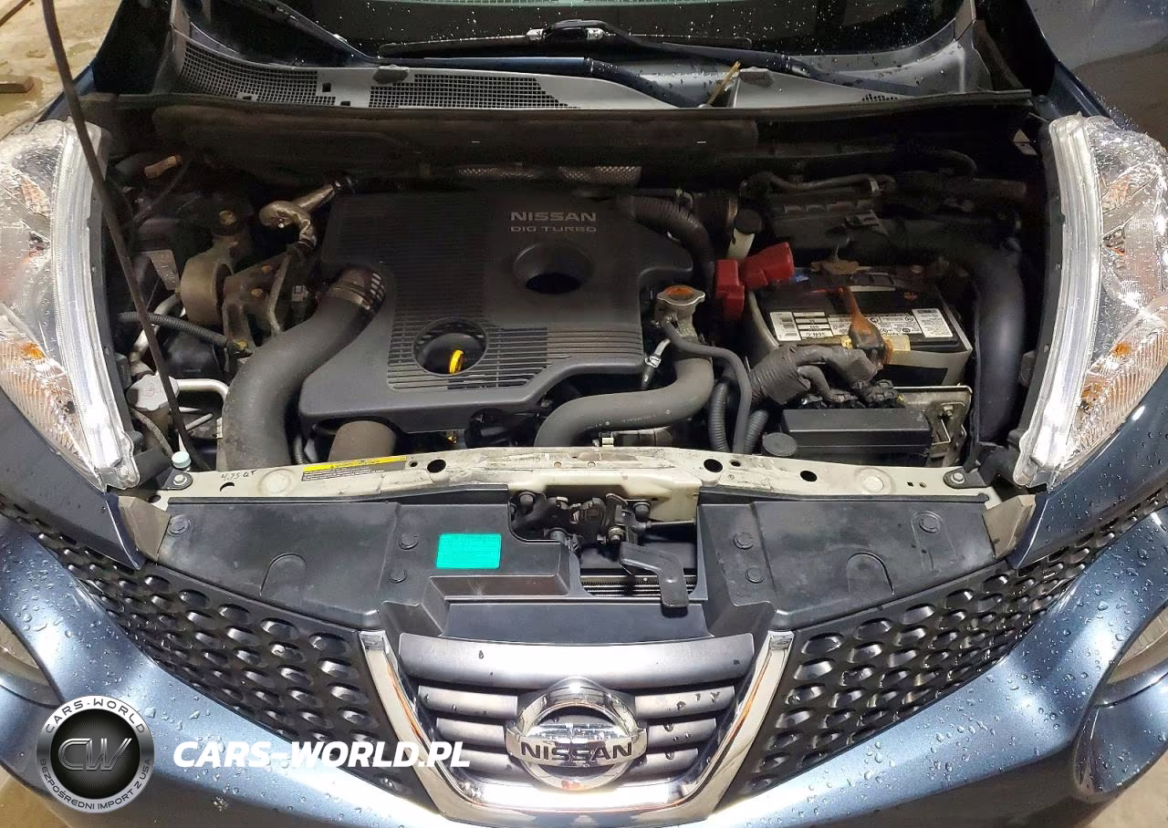 2013 Nissan Juke S VIN:JN8AF5MV9DT210434 - 12