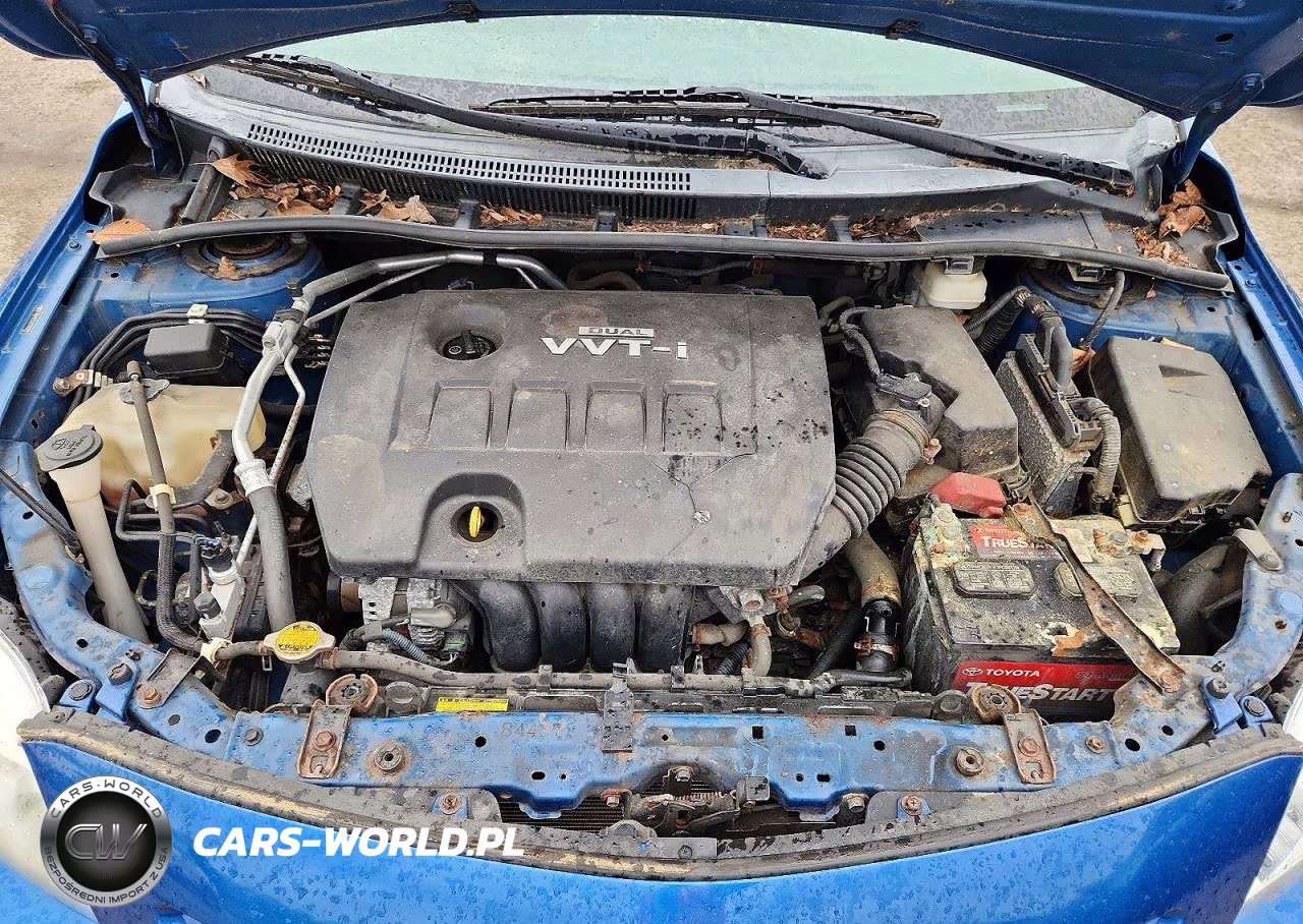 2010 Toyota Corolla Base VIN:2T1BU4EE2AC312918 - 11