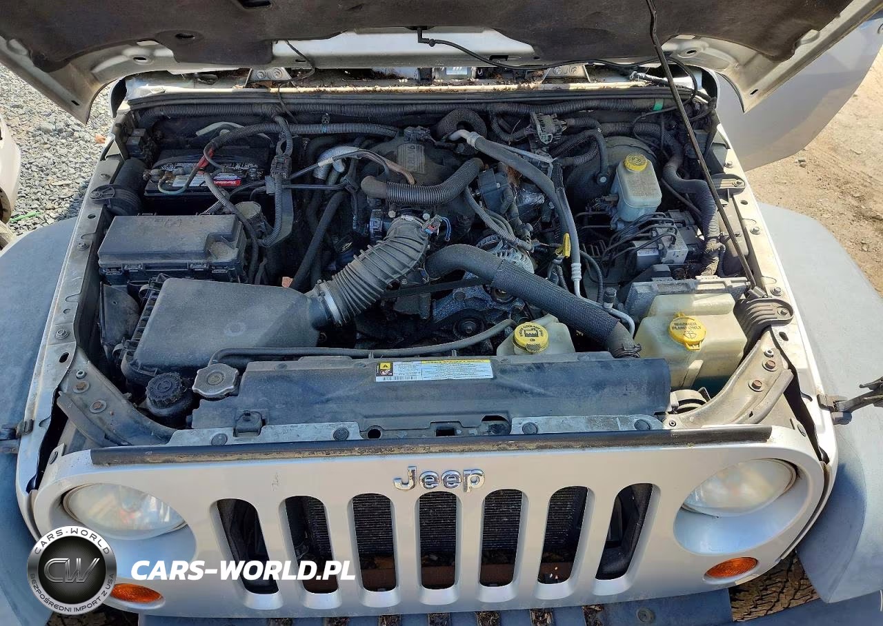 2011 Jeep Wrangler Unlimited Rubicon VIN:1J4BA6H13BL507895 - 11