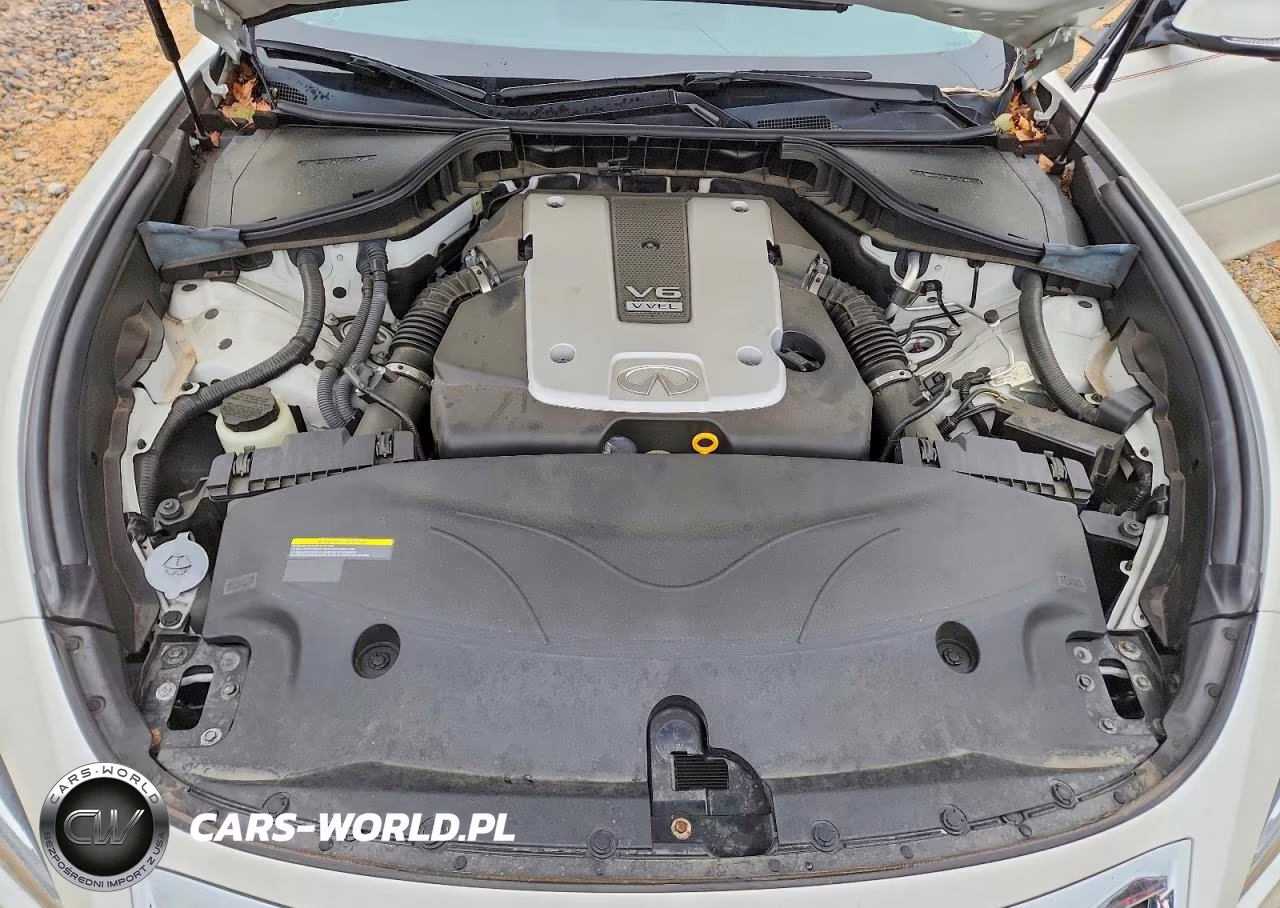 2019 Infiniti Q70 3.7 Luxe VIN:JN1BY1AR2KM585554 - 11