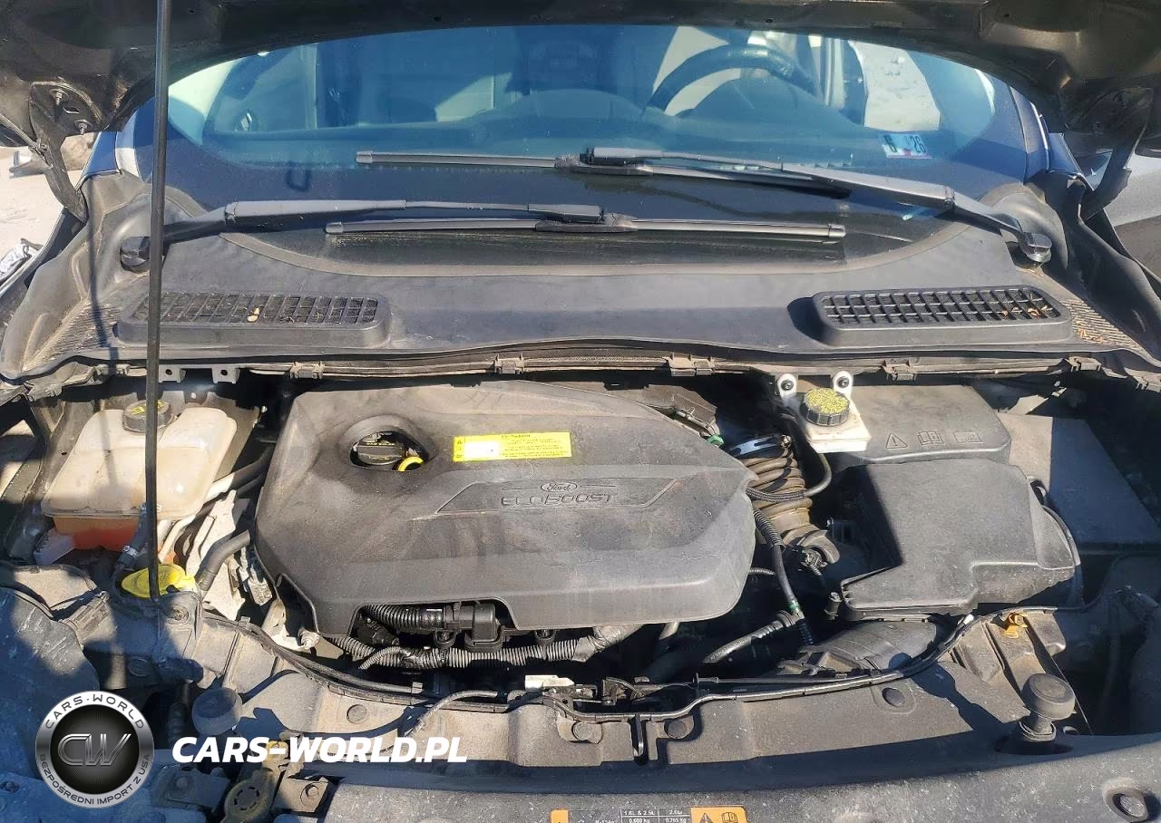 2016 Ford Escape Se VIN:1FMCU9GX2GUB87510 - 12