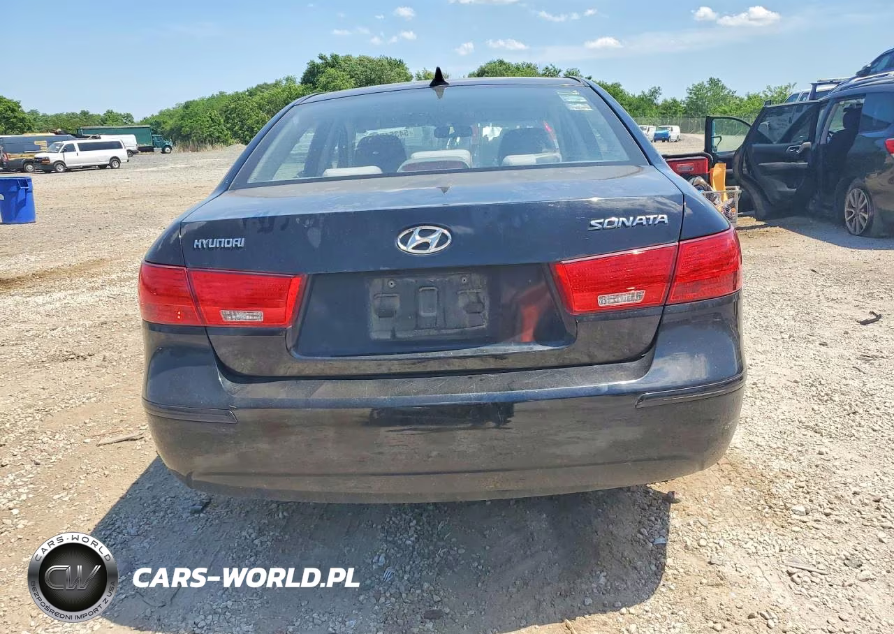 2010 Hyundai Sonata Gls VIN:5NPET4AC9AH613817 - 6