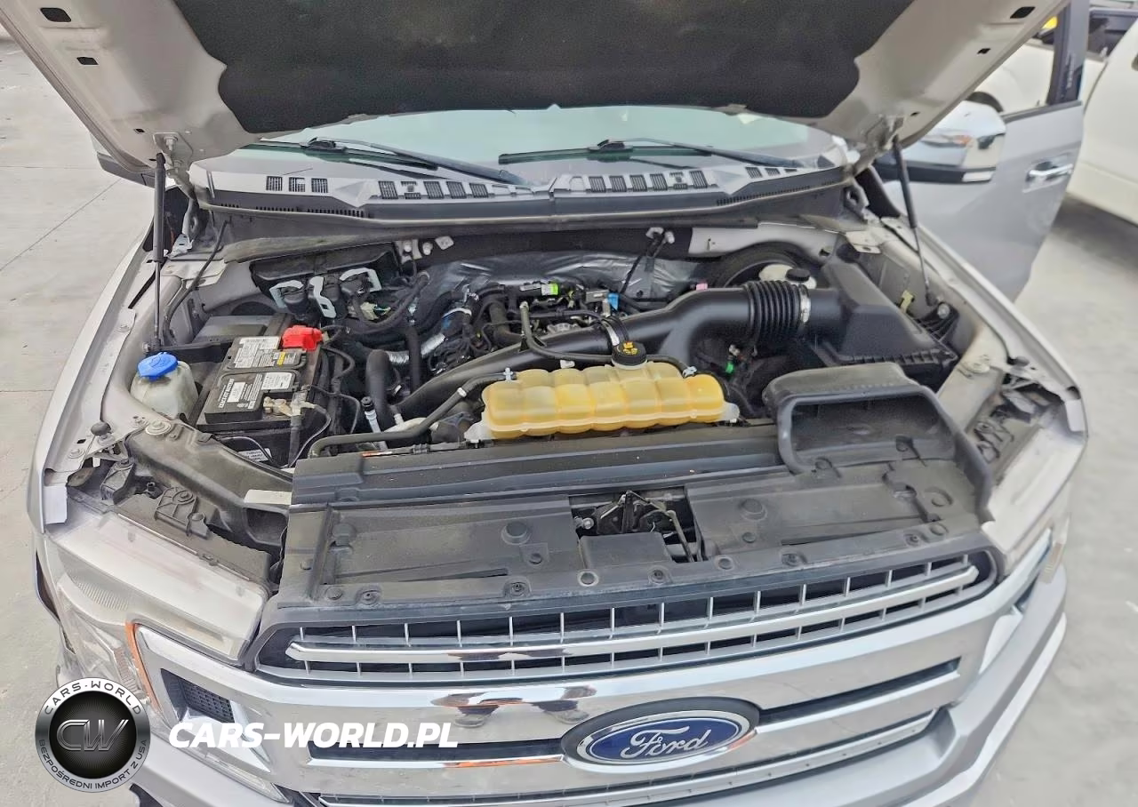 2020 Ford F150 Supercrew VIN:1FTEW1CP1LKF15455 - 11