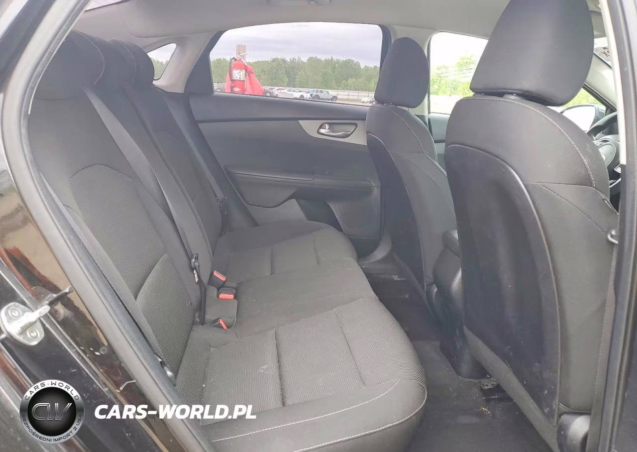2019 Kia Forte Lxs VIN:3KPF24AD5KE013804 - 10