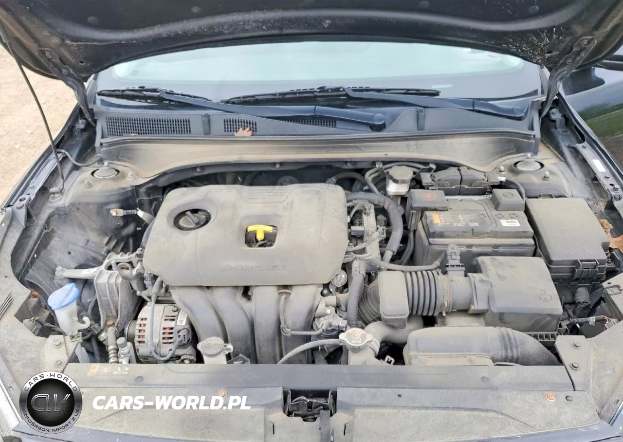 2019 Kia Forte Lxs VIN:3KPF24AD5KE013804 - 11