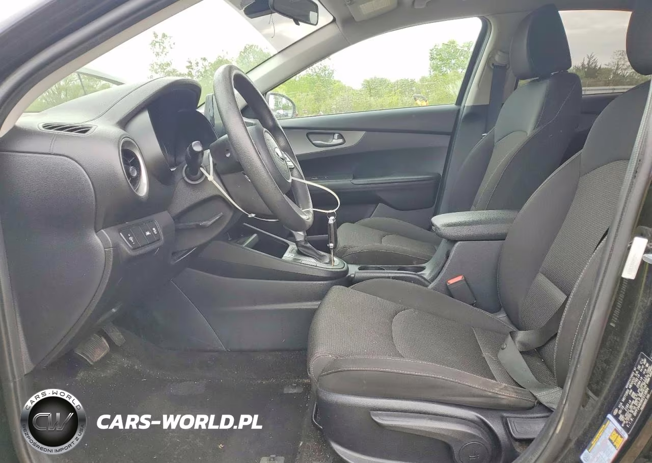 2019 Kia Forte Lxs VIN:3KPF24AD5KE013804 - 7