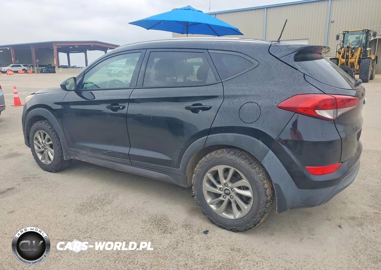 2016 Hyundai Tucson VIN:KM8J33A44GU212445 - 2