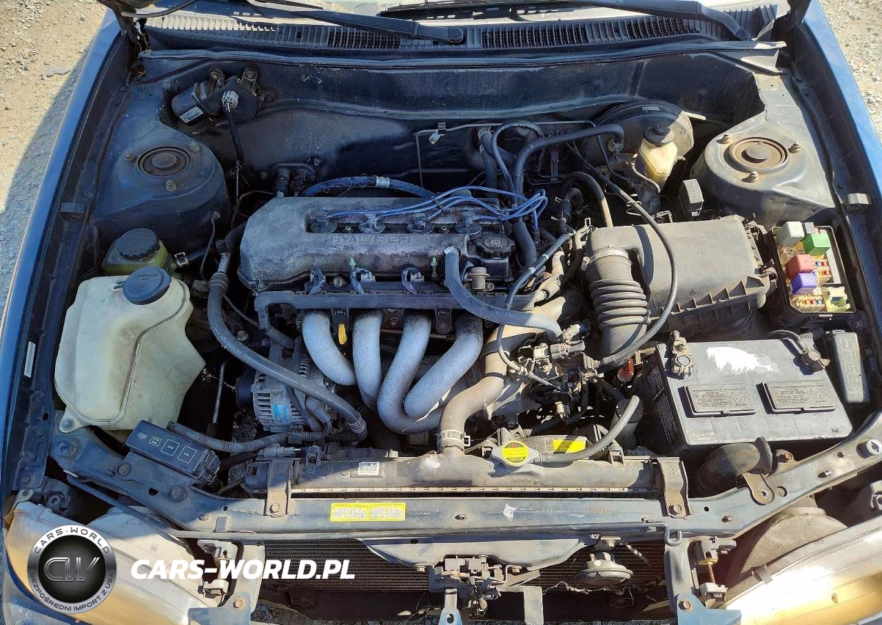1994 Toyt Corolla VIN:1NXBR12E4WZ109667 - 11