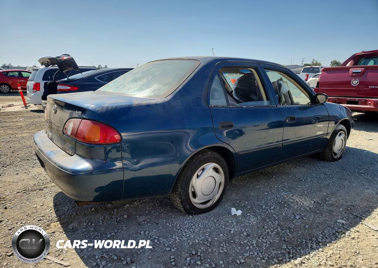 1994 Toyt Corolla VIN:1NXBR12E4WZ109667 - 3