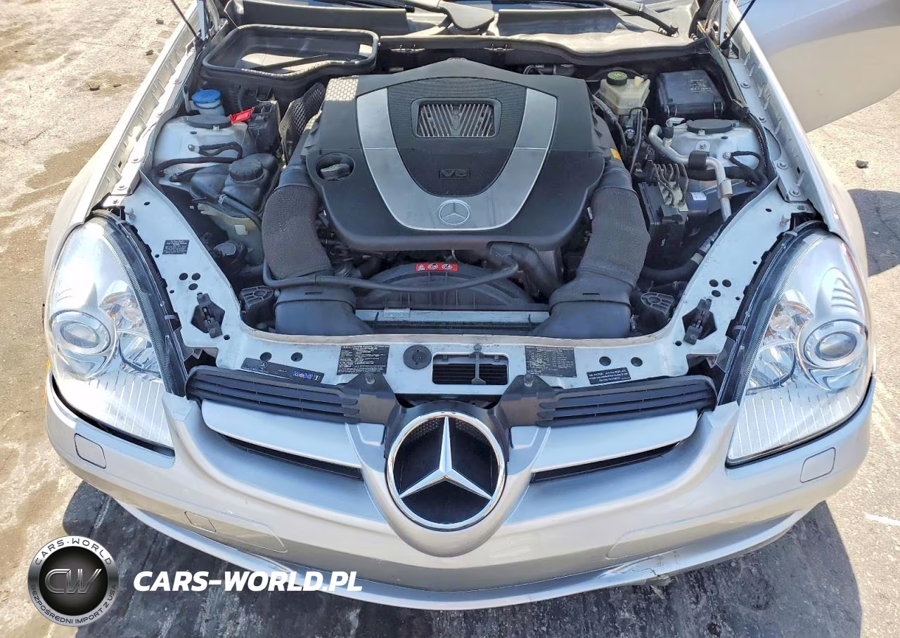 2006 Mercedes-Benz Slk 280 VIN:WDBWK54F36F098025 - 11
