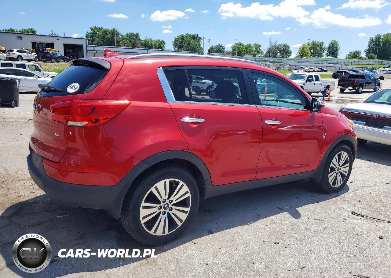 2014 Kia Sportage Ex VIN:KNDPC3AC3E7599247 - 3