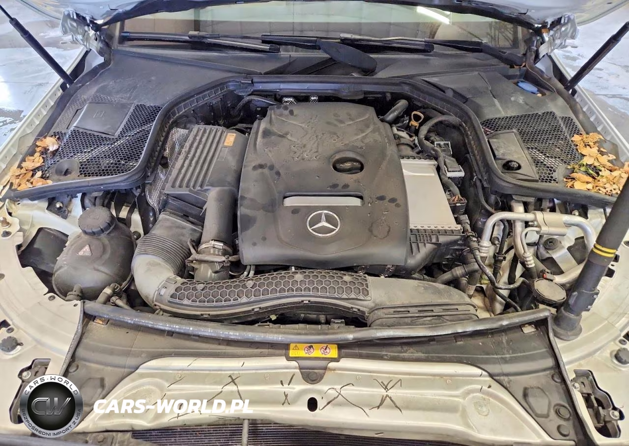 2018 Mercedes-Benz C 300 VIN:WDDWF4JB8JR335834 - 11