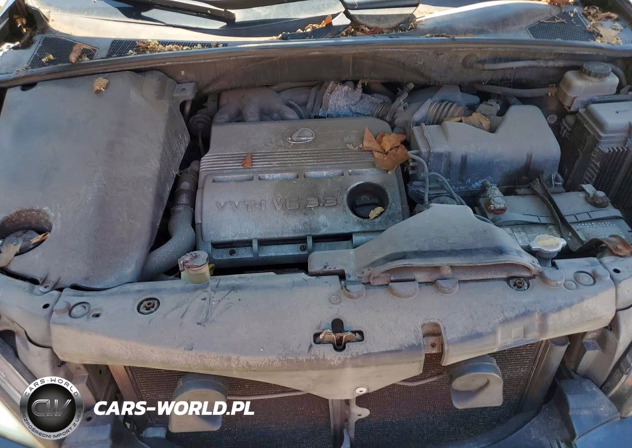 2004 Lexus Rx 330 VIN:JTJHA31U940059196 - 12