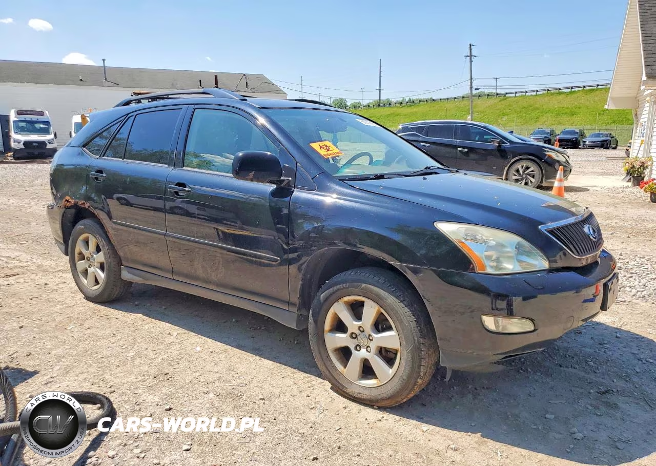 2004 Lexus Rx 330 VIN:JTJHA31U940059196 - 4